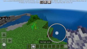 как вырастить мангровое дерево?