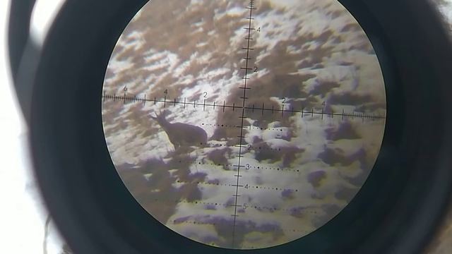 Безоаровый козел смотреть онлайн