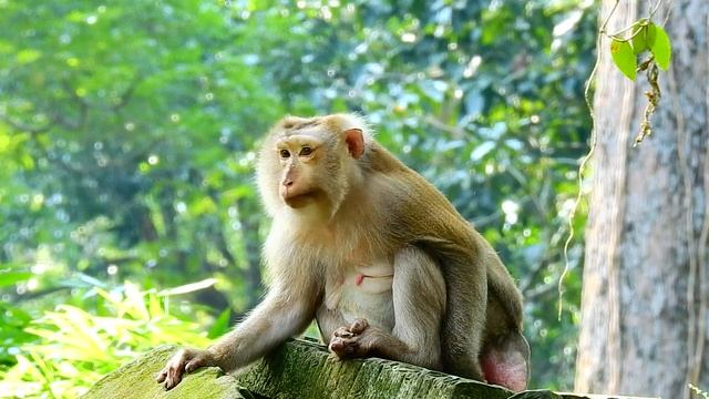Wow What hppened to old mom Ashley looking very tired..... смотреть онлайн