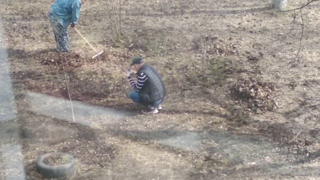 Старый конь борозды не портит смотреть онлайн