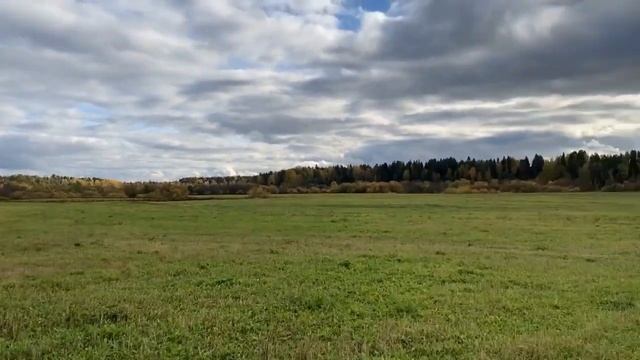 Золотая распашка!!! смотреть онлайн