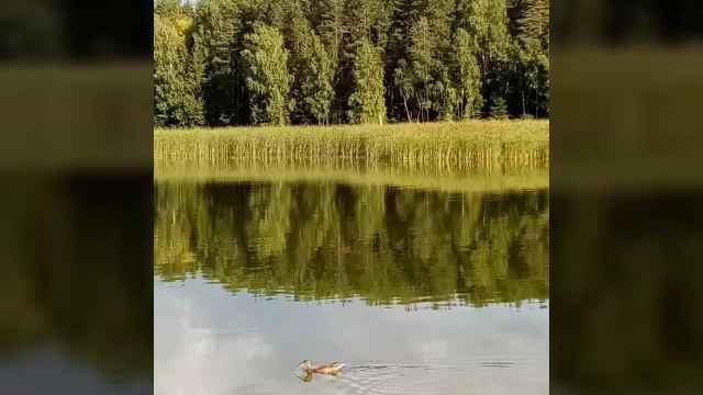 🌈Последняя неделя лета🔥 смотреть онлайн