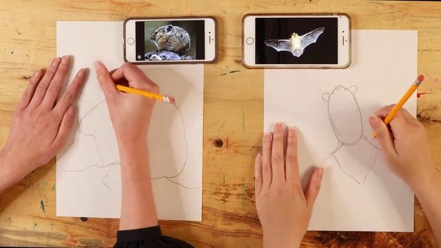 Learn to Sew and Make an Animal Patch #CreateTogetherKit