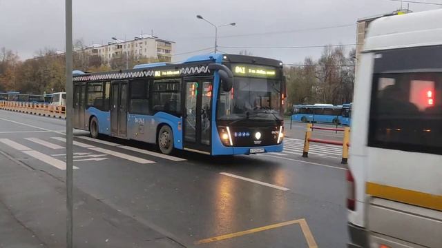 Микроавтобус Ford Transit на 602 маршруте и НефАЗ 5299-40-52 на 841 маршруте у м Выхино смотреть онлайн