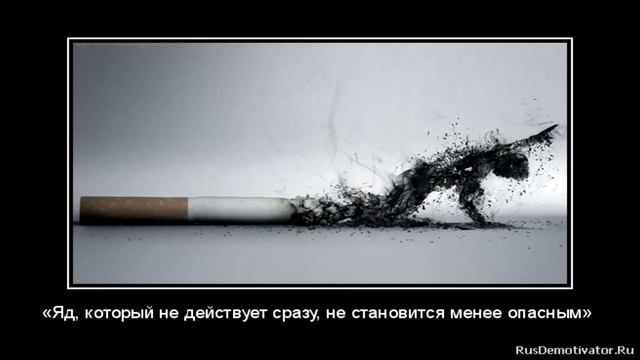 Самый опасный вид спорта в кампусе ДВФУ смотреть онлайн