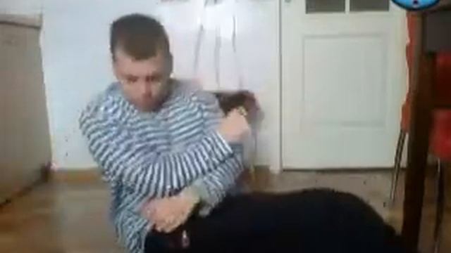 ИДЕАЛЬНЫЙ ПРЕСС ЗА 7 МИНУТ В ДЕНЬ. СУПЕР ПРЕСС (супер сус кто шарит, тот поймёт))) by Kalya смотреть онлайн