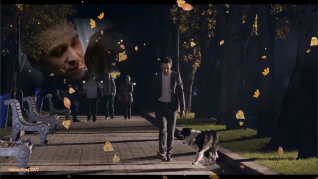 "Костер аллей" музыка: Александр Габиец, слова: Владимир Лемтюжников, исполняет: Юрий Давыдов смотреть онлайн