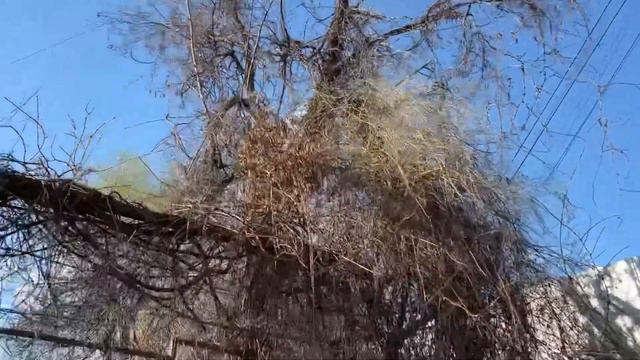 Третья попытка купить авто в Кишиневе! Мы не сдаёмся!) смотреть онлайн