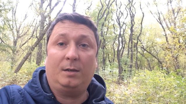 Почему листья не желтеют? 21.10.2016 смотреть онлайн