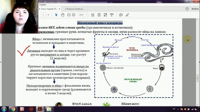 ЖИЗНЕННЫЙ ЦИКЛ АСКАРИДЫ ЗА 5 МИНУТ (+Разбор заданий) смотреть онлайн