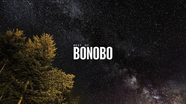 Best Of Bonobo.mp4