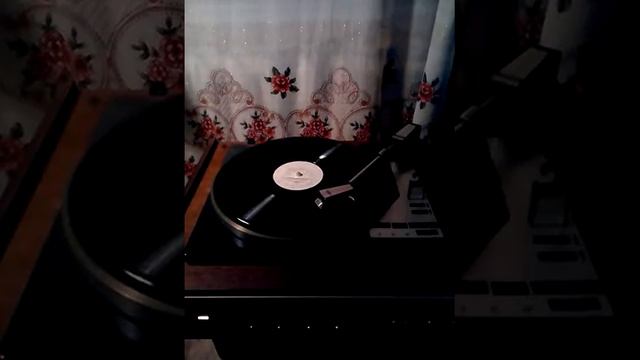 Аида Ведищева- Песенка о медведях