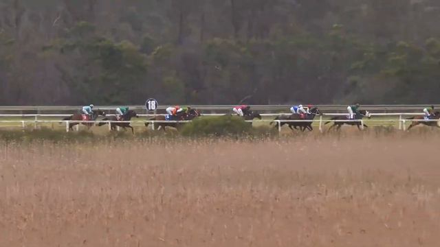 YOUNG NELSON - race 5 #fairview 30 September 2022 смотреть онлайн