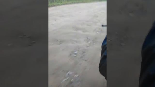 Тест драйв Wellsa 250  на суровых Русских дорогах