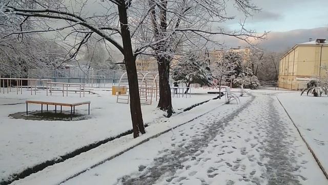 А в Сочи снова выпал снег, лежит на пальмах и деревьях.. смотреть онлайн