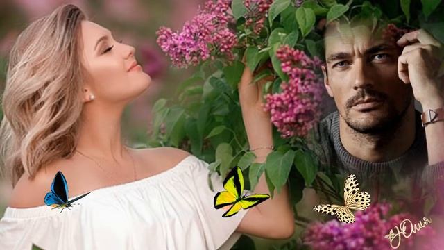 Я не любил её...Георгий Шелд смотреть онлайн