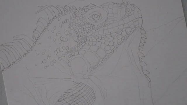 TIPS FOR HOW TO GET YOUR SKETCH! (without going insane) смотреть онлайн