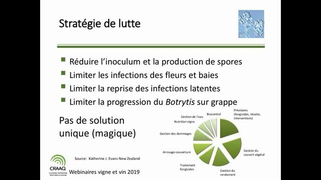Botrytis de la vigne смотреть онлайн