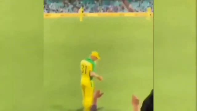 David Warner performs butta bomma dance on field.| India vs Australia Warner dance song butta bomma смотреть онлайн