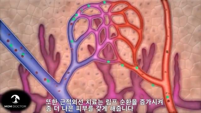 LED ТЕРАПИЯ смотреть онлайн