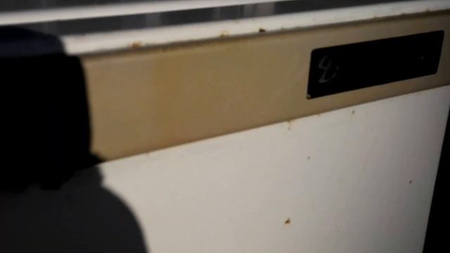 Холодное копчение смотреть онлайн