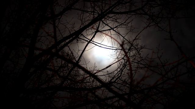 Dark Horror Trailer Background Music | Women Singing *CREEPY* Song | Scary Hybrid Halloween Music