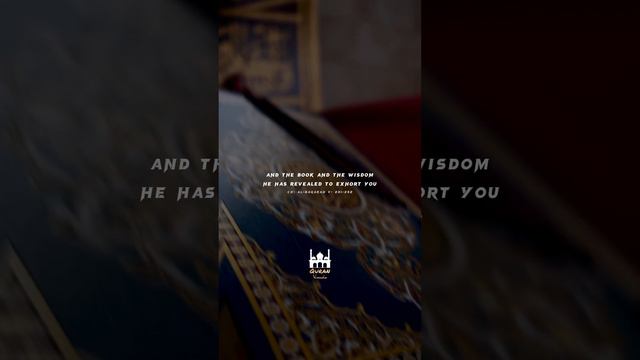 Surah Al Baqarah 2 Verse 231-232 | Quran Urdu Translation | Quran_visuals #quranurdutranslation смотреть онлайн