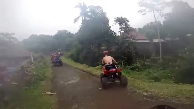 Типичная баба за рулем Vine Video смотреть онлайн