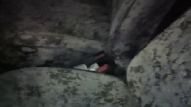 Плесень в машине смотреть онлайн