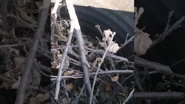 Бочка-утилизатор смотреть онлайн