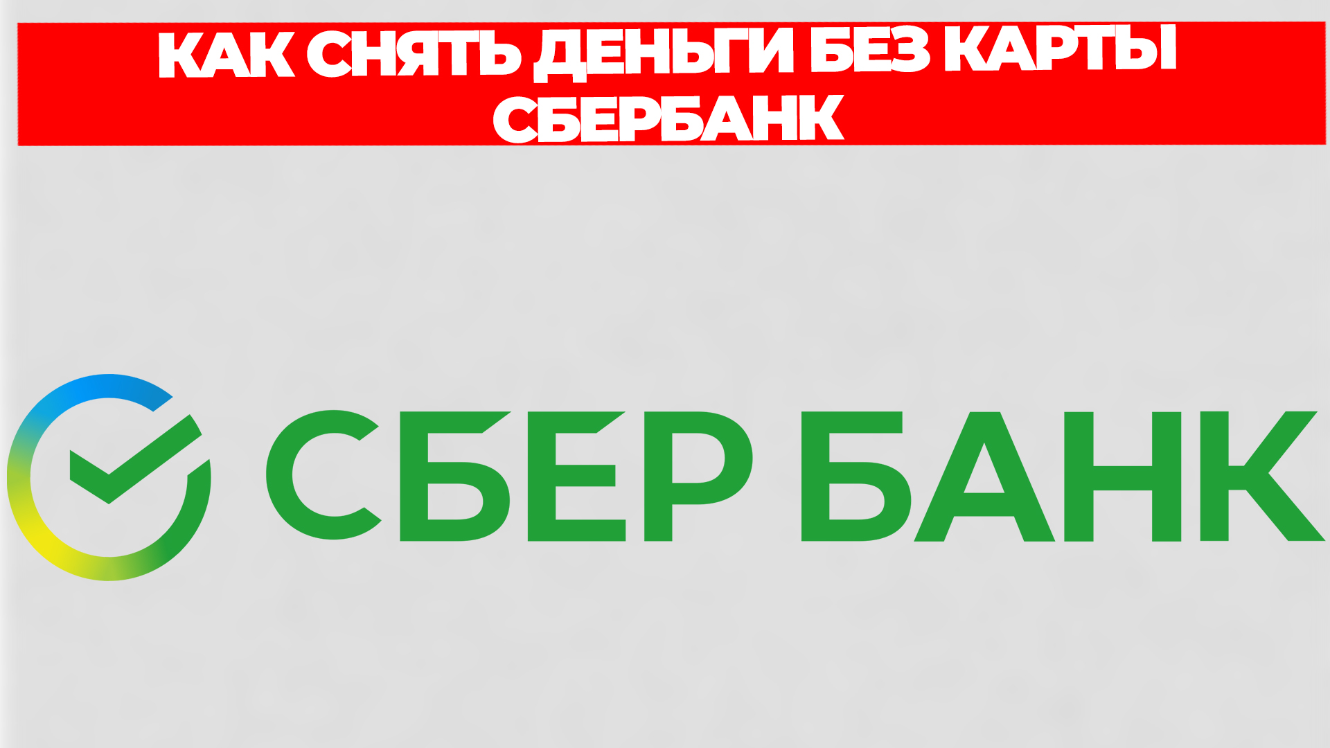 Всезнающий Енот