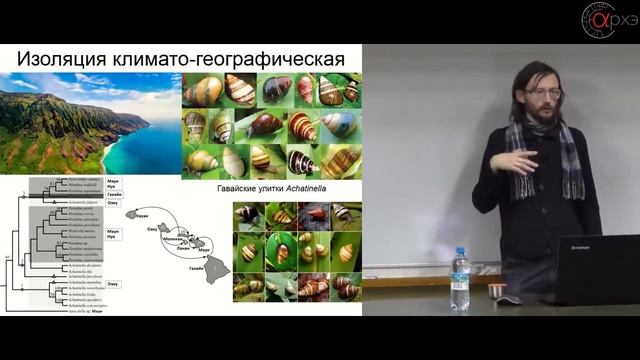 Станислав Дробышевский Теория эволюции смотреть онлайн