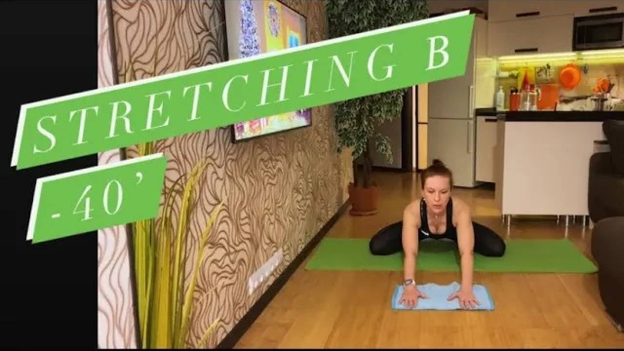 STRETCHING. 25.01.2021. Спина, ноги. [480p]