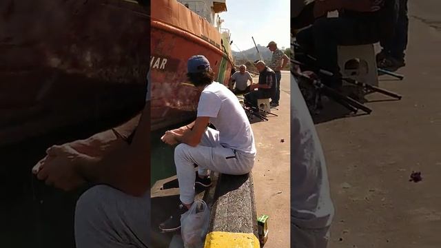 Медузы Гиганты в Батуми смотреть онлайн