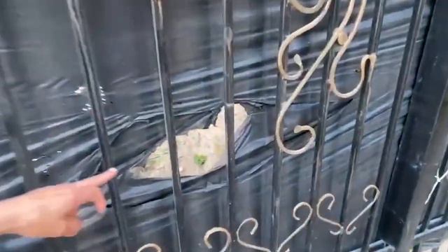 ПРЕЗИДЕНТСТВО УЖЕ БЛИЗКО! УЖЕ СТАНОВИТСЯ ПОХОЖИМ НА ОТЦА! ЛЮДИ ТРЕБУЮТ! смотреть онлайн