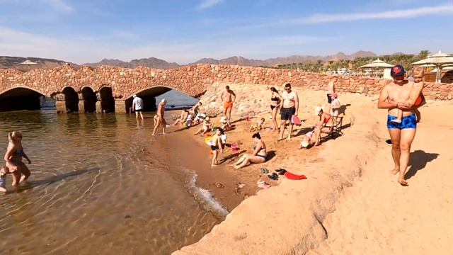 Пляж отеля Albatros Sharm 4*/Beach Albatros Resort, подводный видеообзор бухты Шарм Эль Майя смотреть онлайн