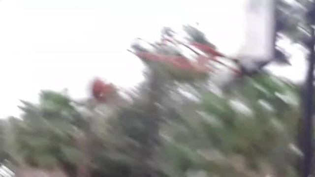 Felipe Alba смотреть онлайн