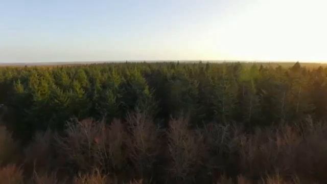 Отпустить,значит не быть в плену... смотреть онлайн