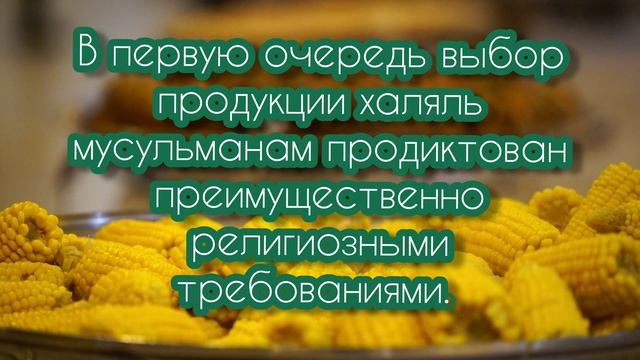 ?ПРОДУКЦИЯ ХАЛЯЛЬ, ЧТО ЭТО ТАКОЕ? смотреть онлайн