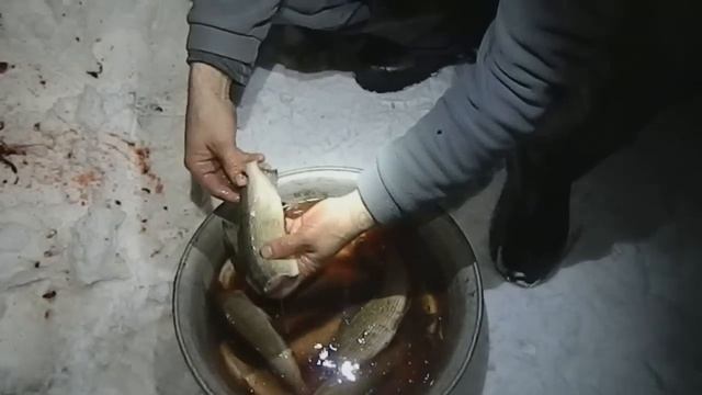 хариусовая рыбалка смотреть онлайн