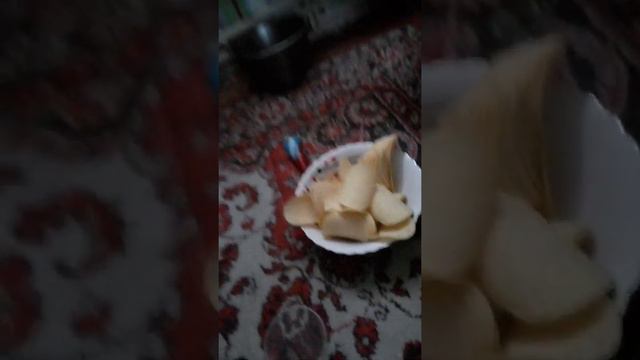 [ASMR] Chips pringles orginal vs Ozmo cornet 😋😊😊🍫🤩🤩 смотреть онлайн