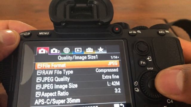 Sony A7riii, A7iii, A7rii, A7ii, A7sii - FILE FORMATS FOR PHOTOS - RAW AND JPEG