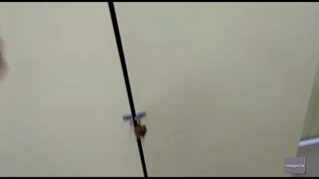 Мясной цех. Малый бизнес. Обзор смотреть онлайн