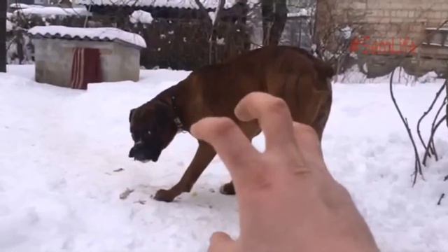 #Sem и рука смотреть онлайн