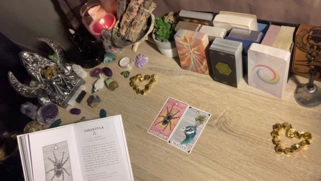 ✨Daily Advice From Spirit✨ Animal Spirit Oracle ?Tarantula & Peacock Spirit ? Advice смотреть онлайн
