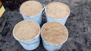 Посев фацелии  в ручную ,просто, для своих любимых пчёл #посевмедоносов #фацелия #своимируками #мёд