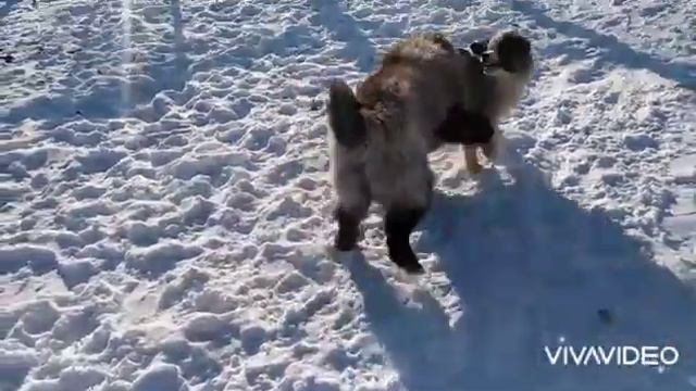 18 марта 2022 г. смотреть онлайн