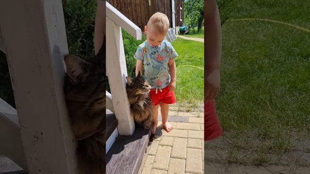 Малыш и кот смотреть онлайн