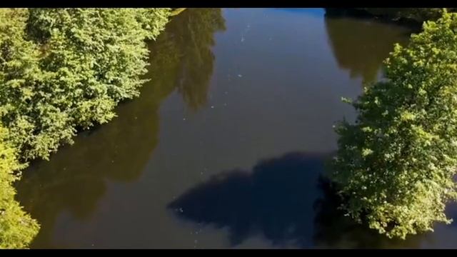 Музыка для расслабления, медитации, учебы, чтения, массажа, спа или сна. смотреть онлайн