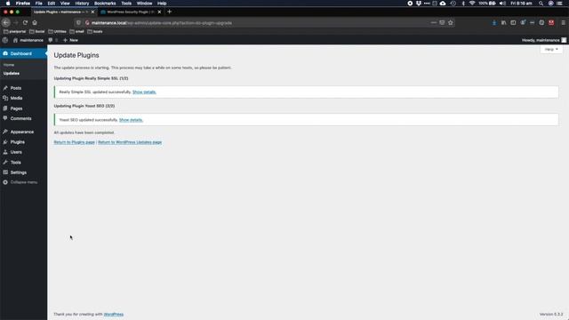 WordPress Maintenance - How to update plugins and WP Core смотреть онлайн